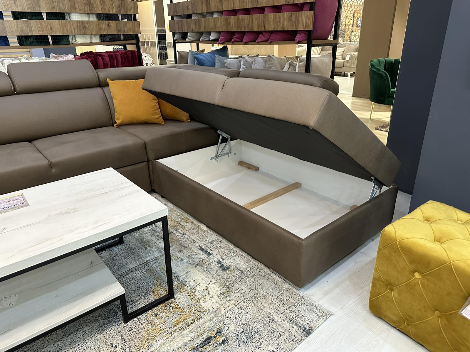 448126276_857496256405632_2599054815823245034_n