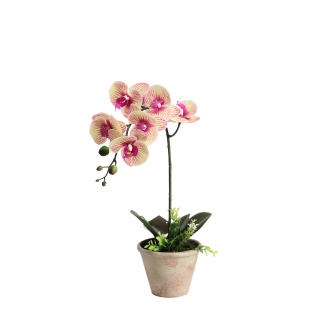 UMJETNO CVIJEĆE ORHIDEJA  I