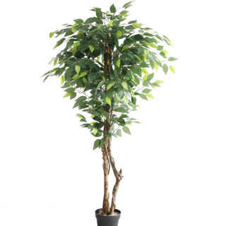 UMJETNO CVIJEĆE FICUS