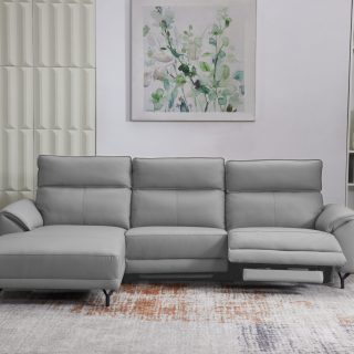 UG ERICA LIJEVA SIVA