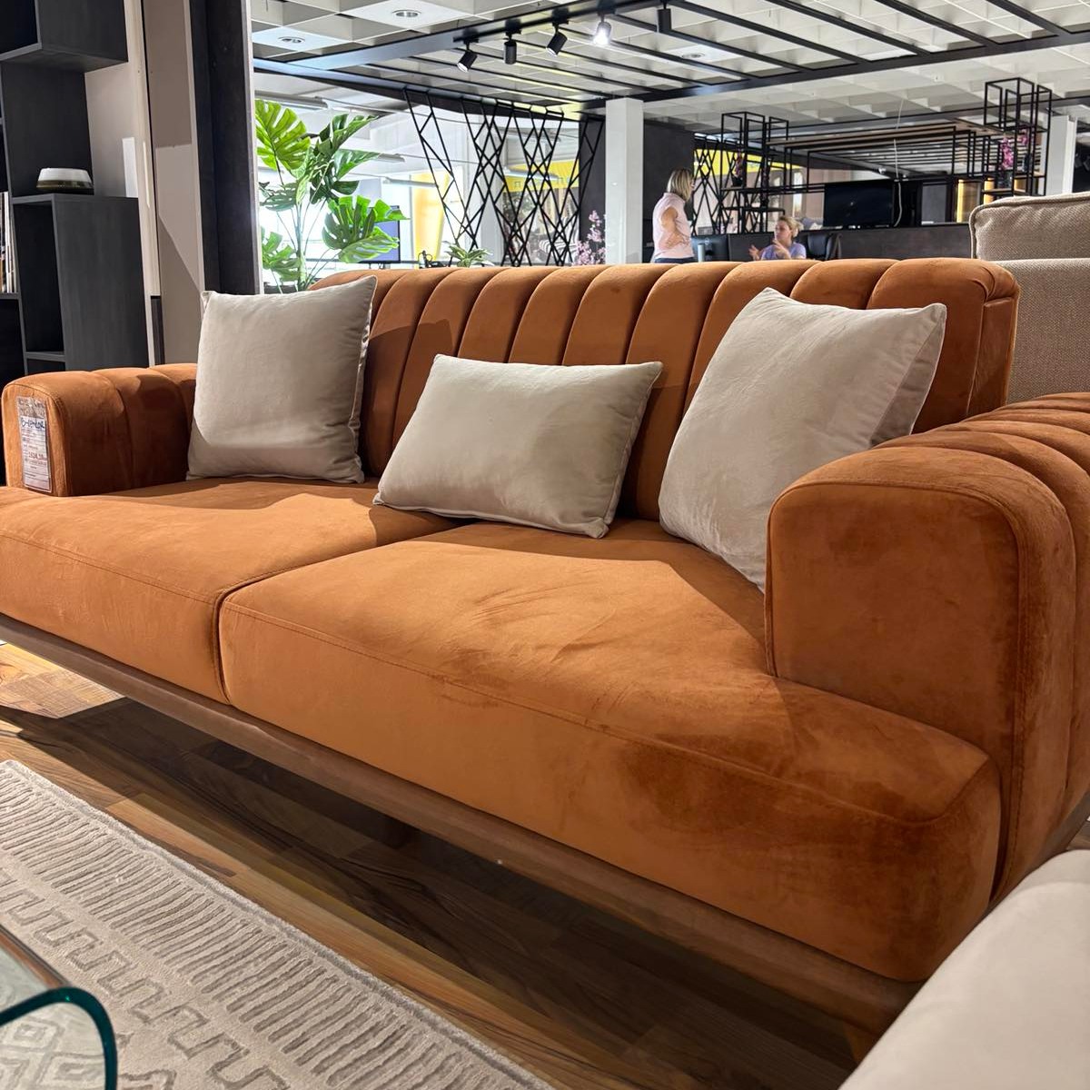 561281435_1234246538730600_776696160818855652_n