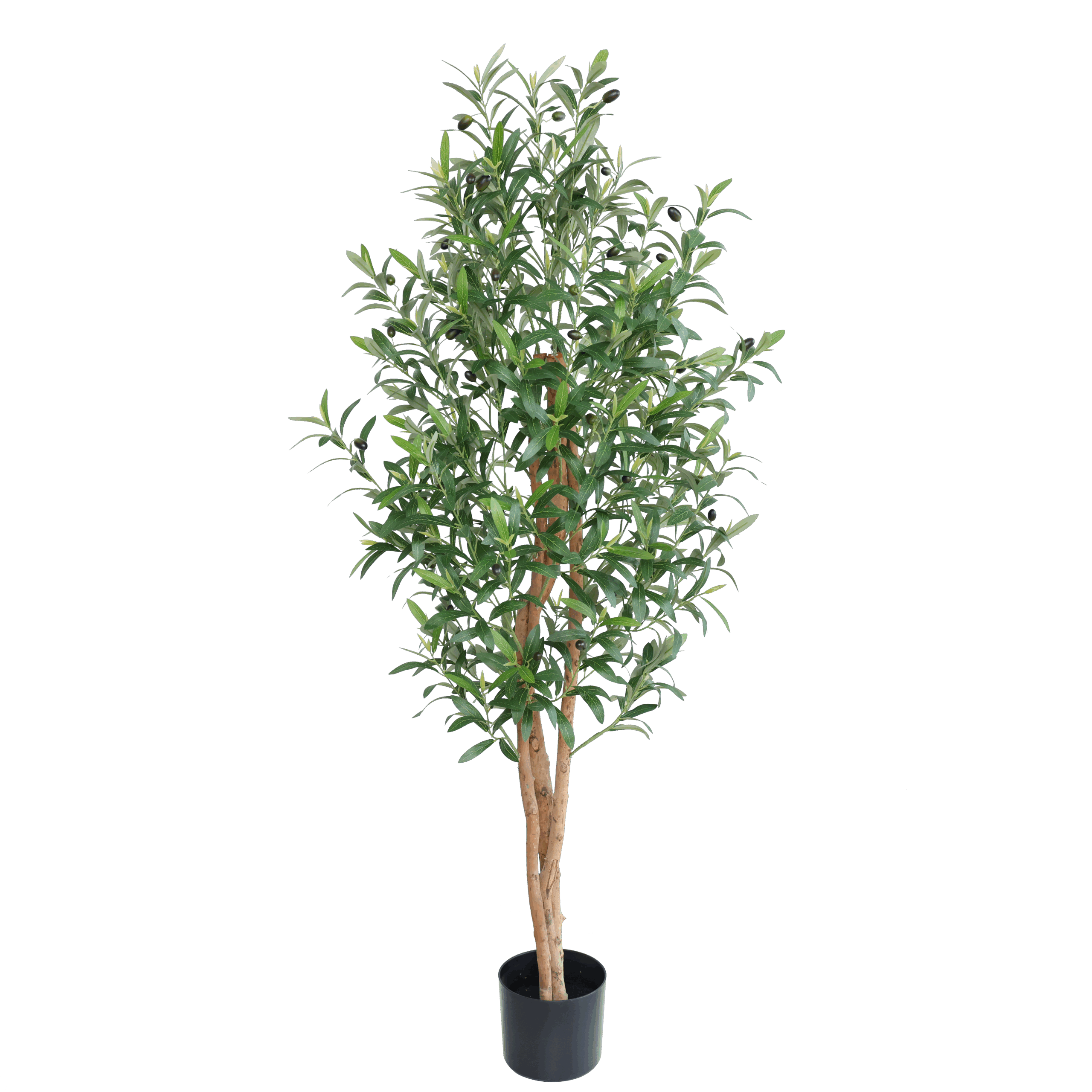 Olive-scaled UMJETNO DRVO MASLINA OLIVA - slika 1